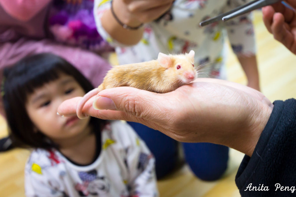 IMG_2219.jpg IMG_2219.jpg