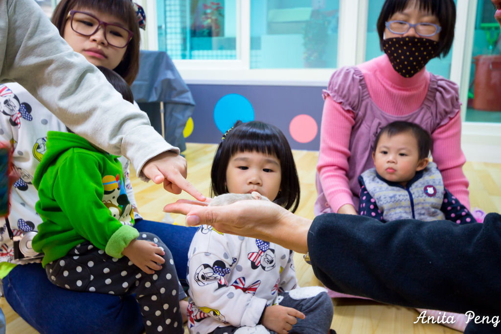 IMG_2231.jpg IMG_2231.jpg