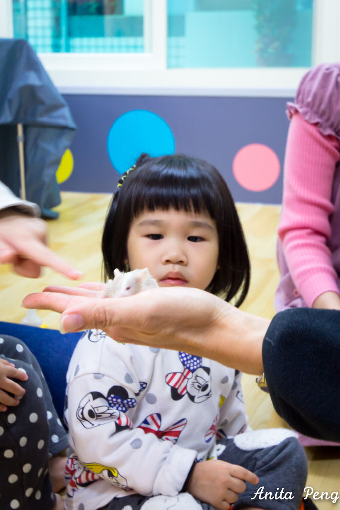 IMG_2232.jpg IMG_2232.jpg