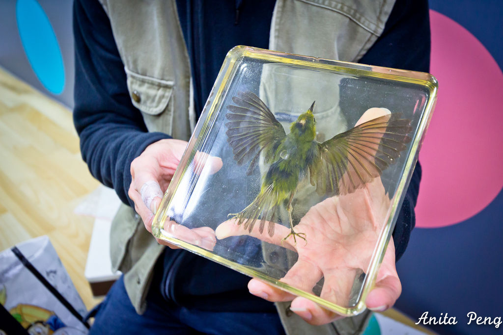 IMG_2237.jpg IMG_2237.jpg