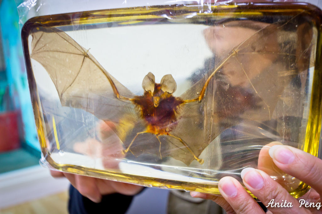 IMG_2240.jpg IMG_2240.jpg