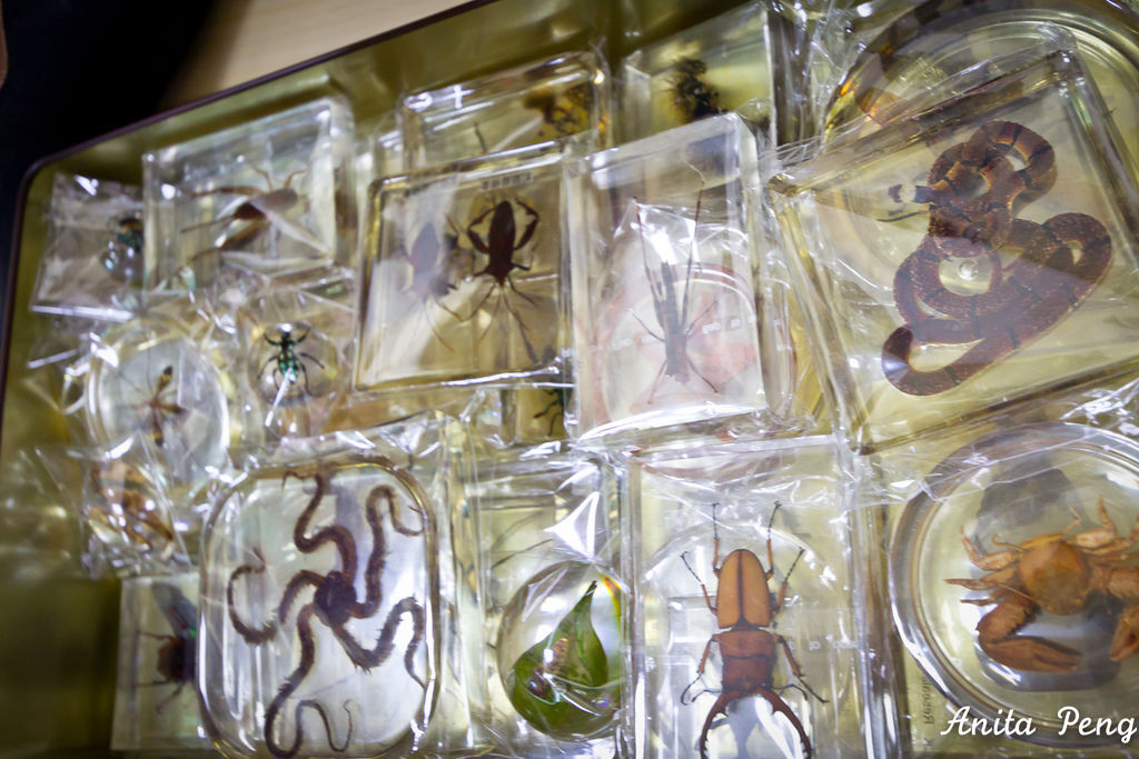 IMG_2241.jpg IMG_2241.jpg