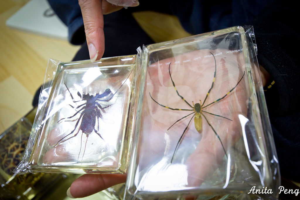 IMG_2247.jpg IMG_2247.jpg