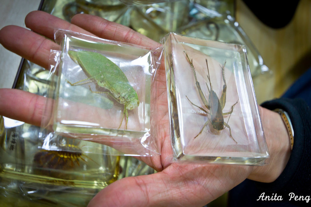 IMG_2248.jpg IMG_2248.jpg