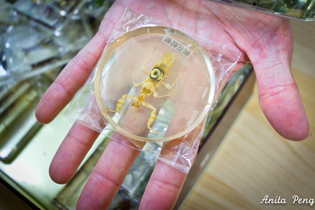 IMG_2250.jpg IMG_2250.jpg