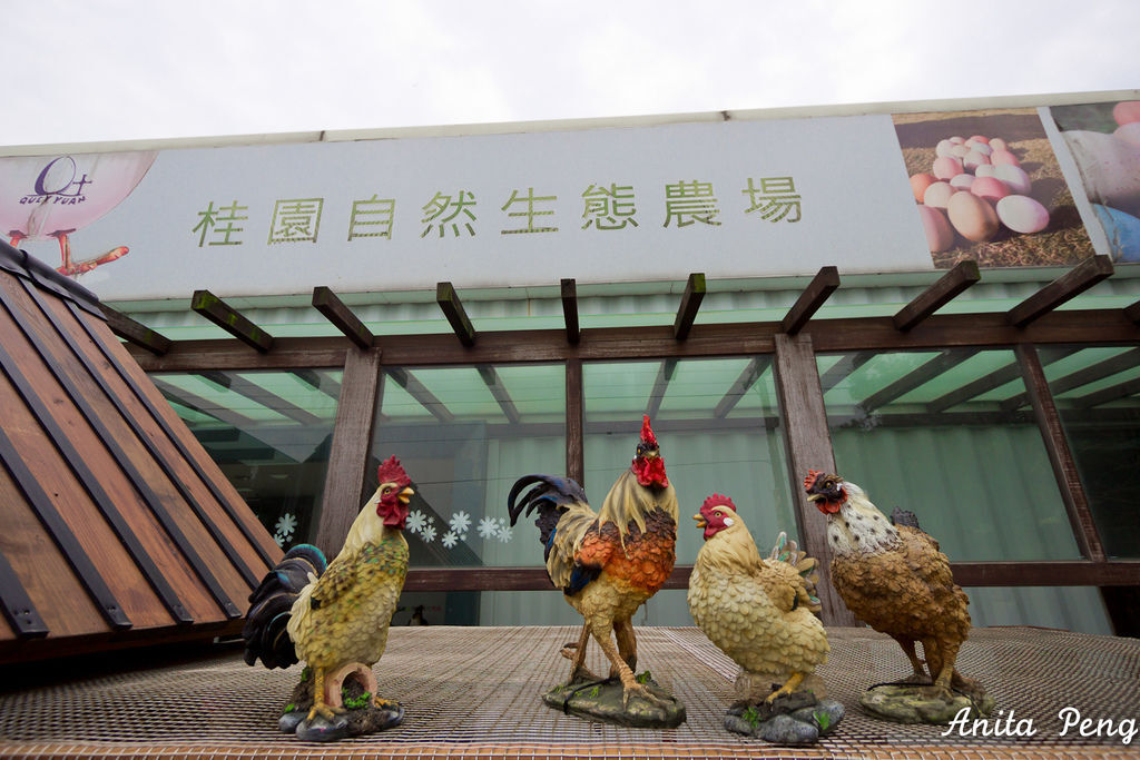 IMG_7465.jpg IMG_7465.jpg