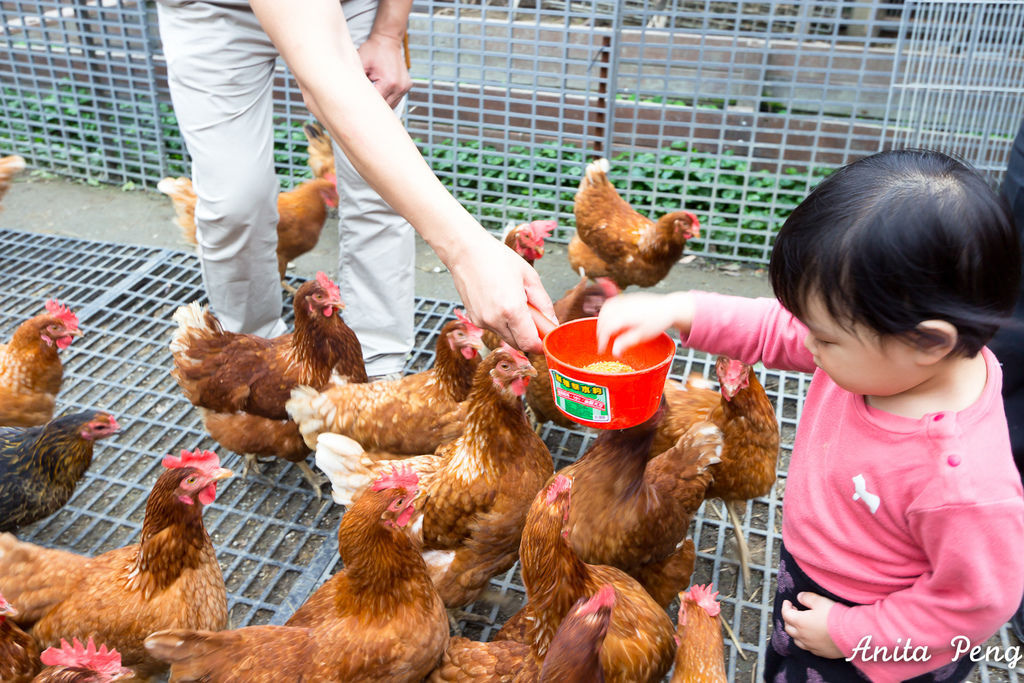 IMG_7475.jpg IMG_7475.jpg