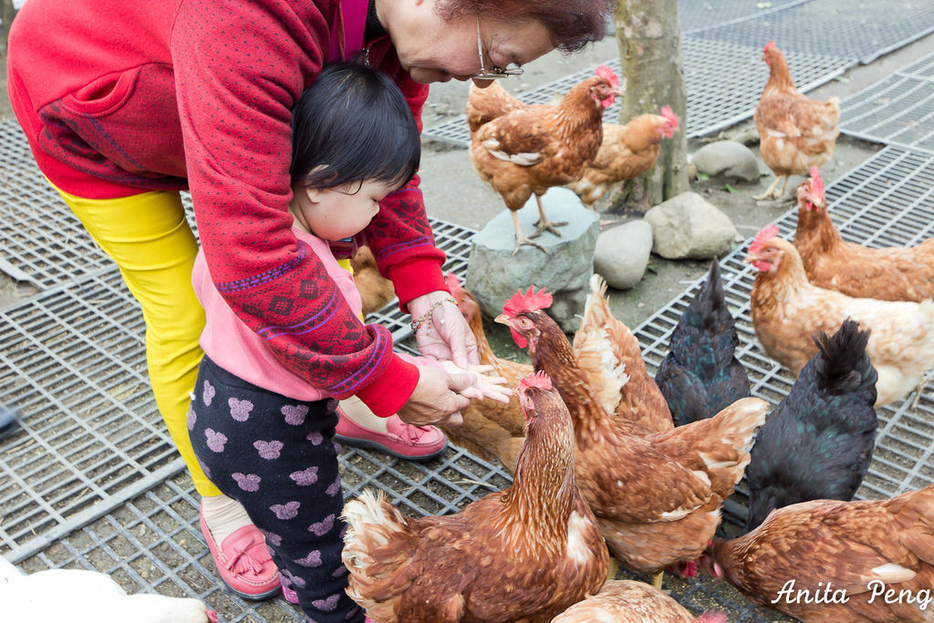 IMG_7483.jpg IMG_7483.jpg