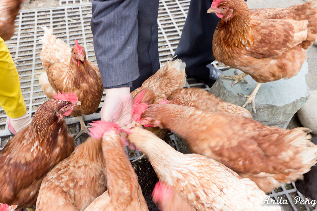 IMG_7484.jpg IMG_7484.jpg