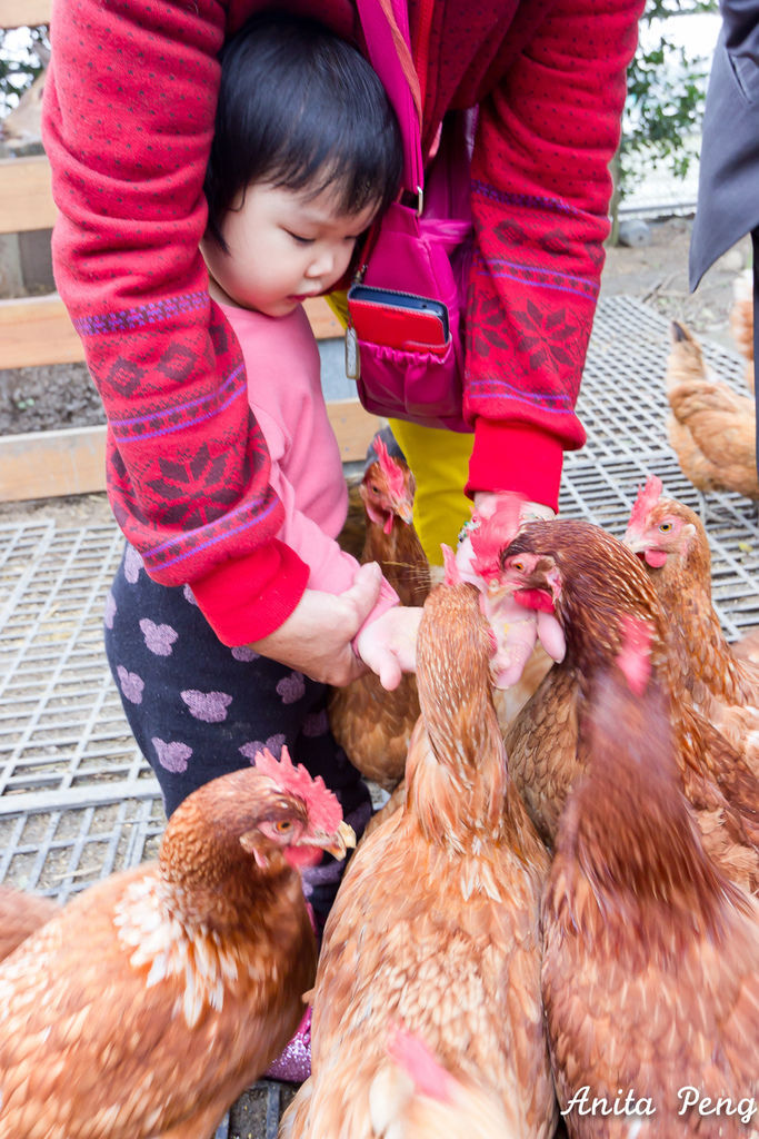 IMG_7488.jpg IMG_7488.jpg