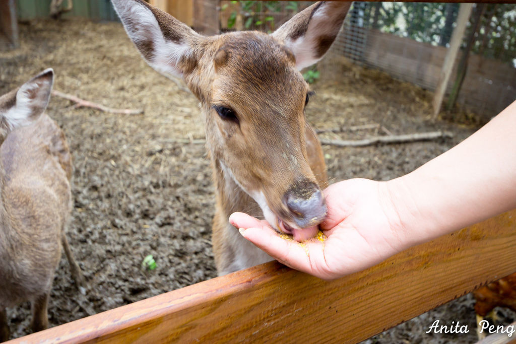 IMG_7495.jpg IMG_7495.jpg