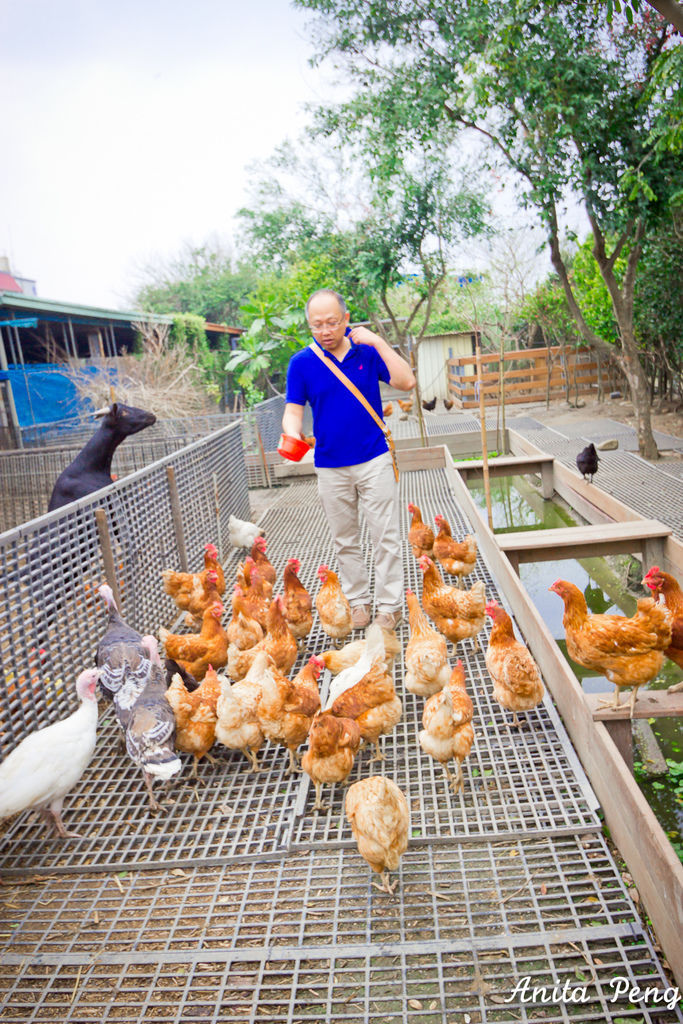 IMG_7523.jpg IMG_7523.jpg