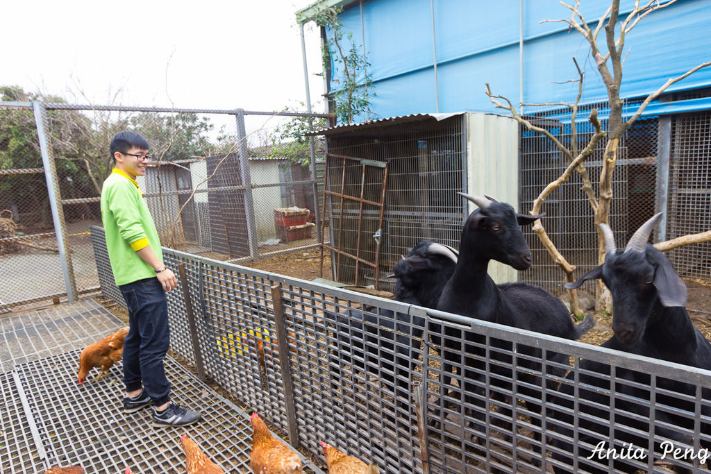 IMG_7525.jpg IMG_7525.jpg