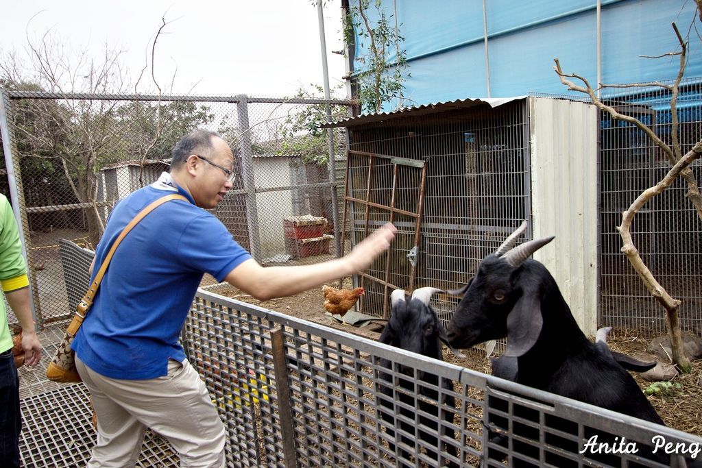 IMG_7548.jpg IMG_7548.jpg