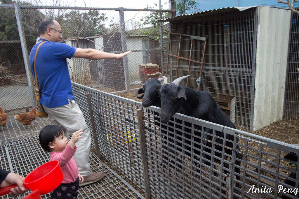 IMG_7561.jpg IMG_7561.jpg