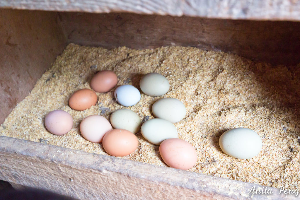 IMG_7571.jpg IMG_7571.jpg