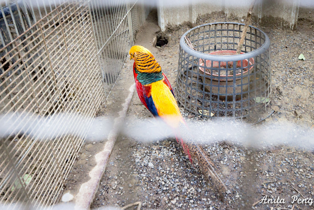 IMG_7575.jpg IMG_7575.jpg