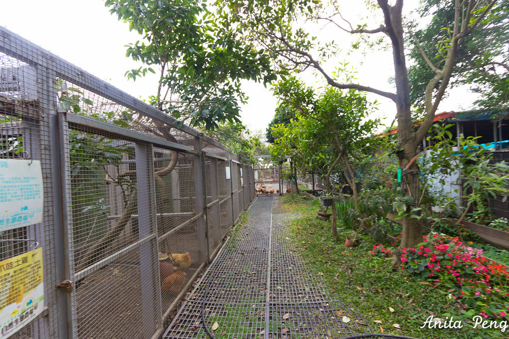 IMG_7579.jpg IMG_7579.jpg