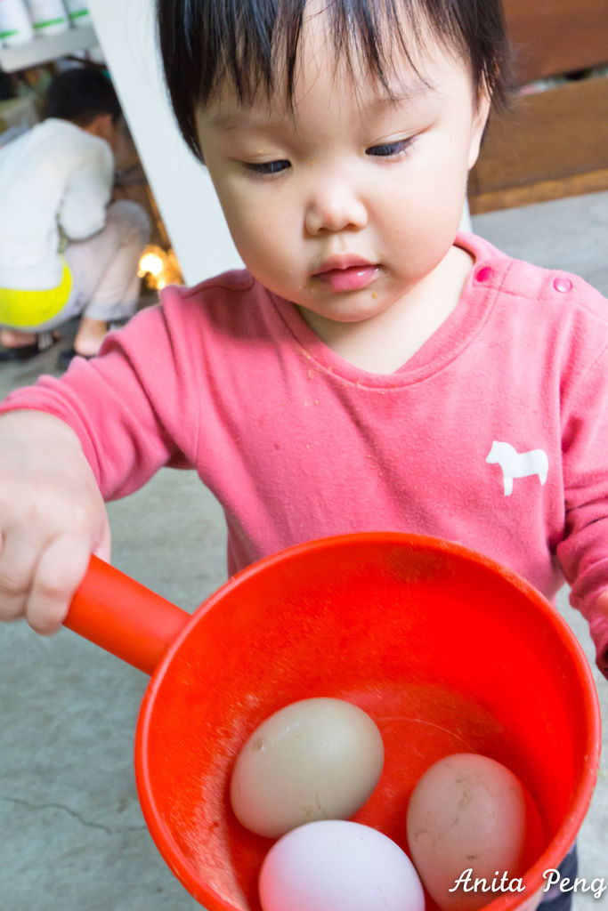 IMG_7615.jpg IMG_7615.jpg