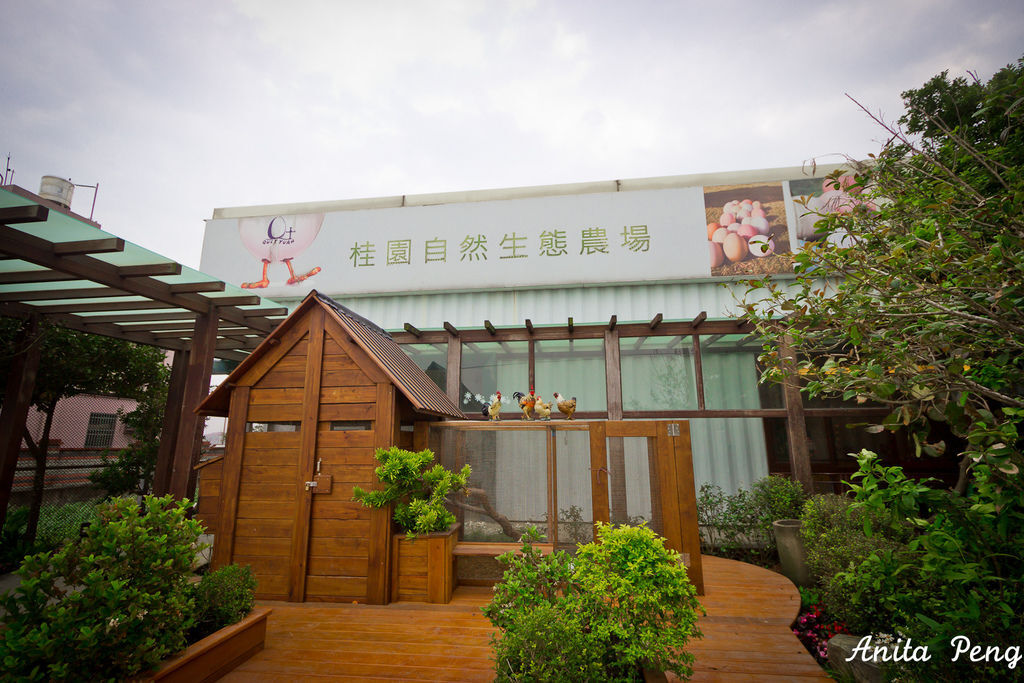 IMG_7620.jpg IMG_7620.jpg