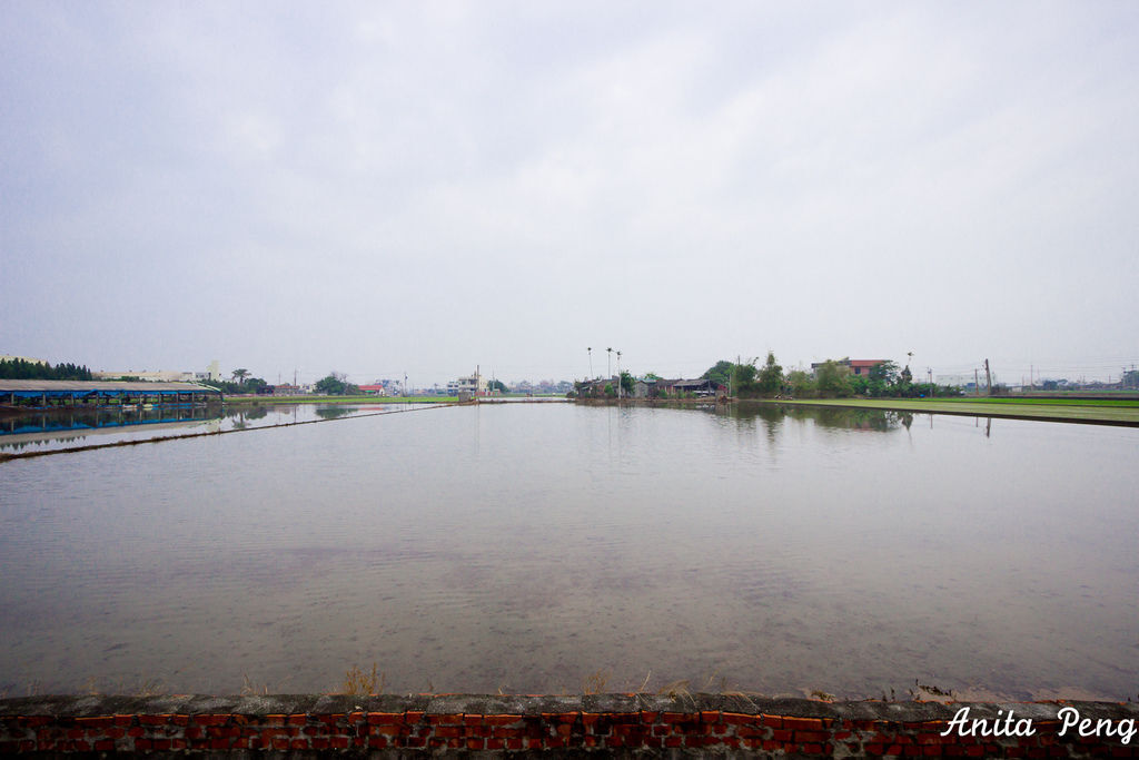 IMG_7621.jpg IMG_7621.jpg