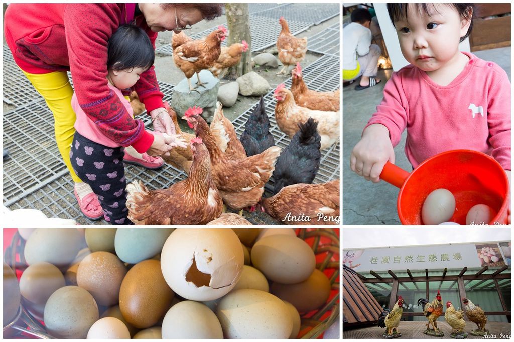 封面.jpg 封面.jpg