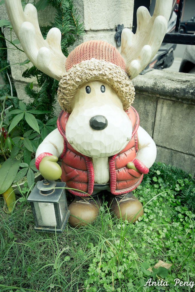 IMG_9639.jpg IMG_9639.jpg