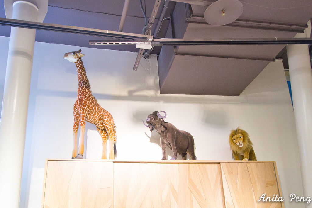 IMG_7929.jpg IMG_7929.jpg