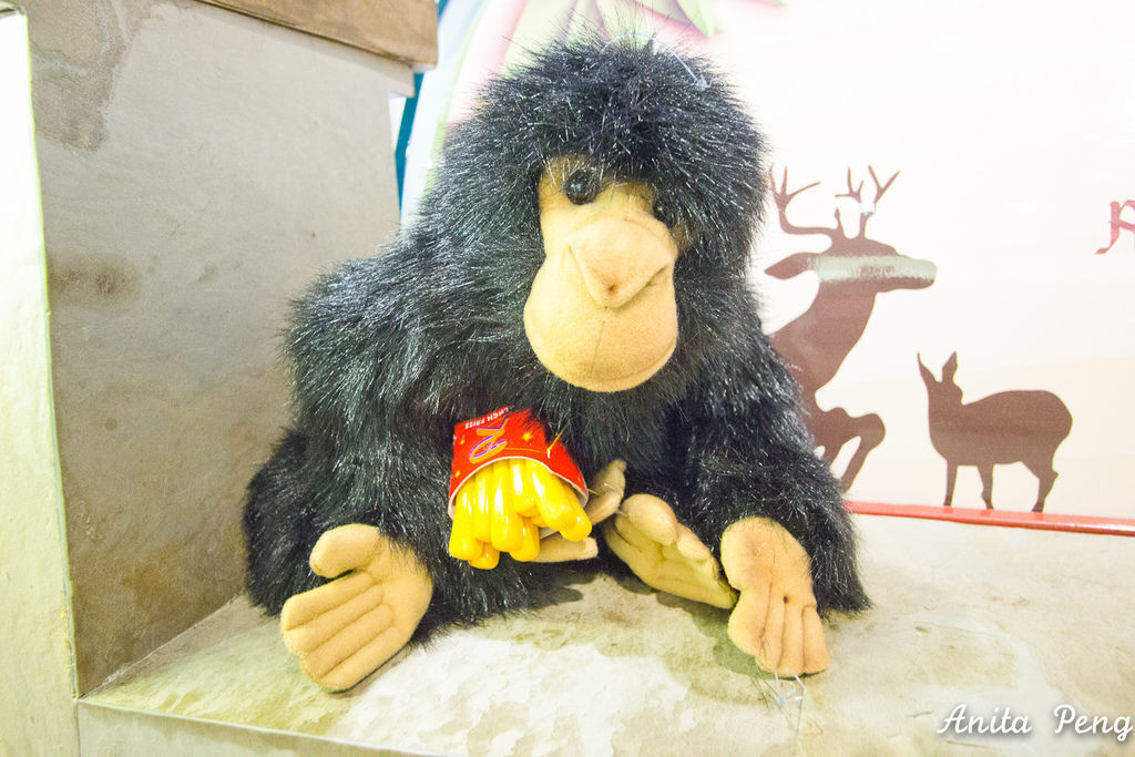 IMG_7930.jpg IMG_7930.jpg