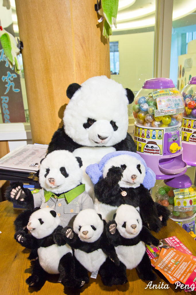 IMG_7932.jpg IMG_7932.jpg