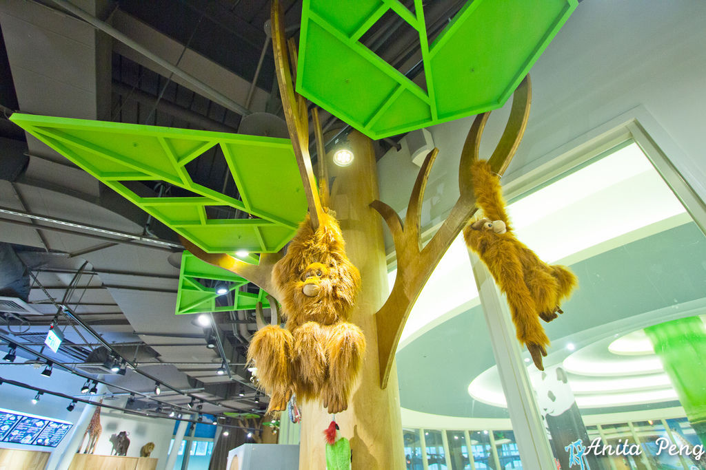 IMG_7933.jpg IMG_7933.jpg