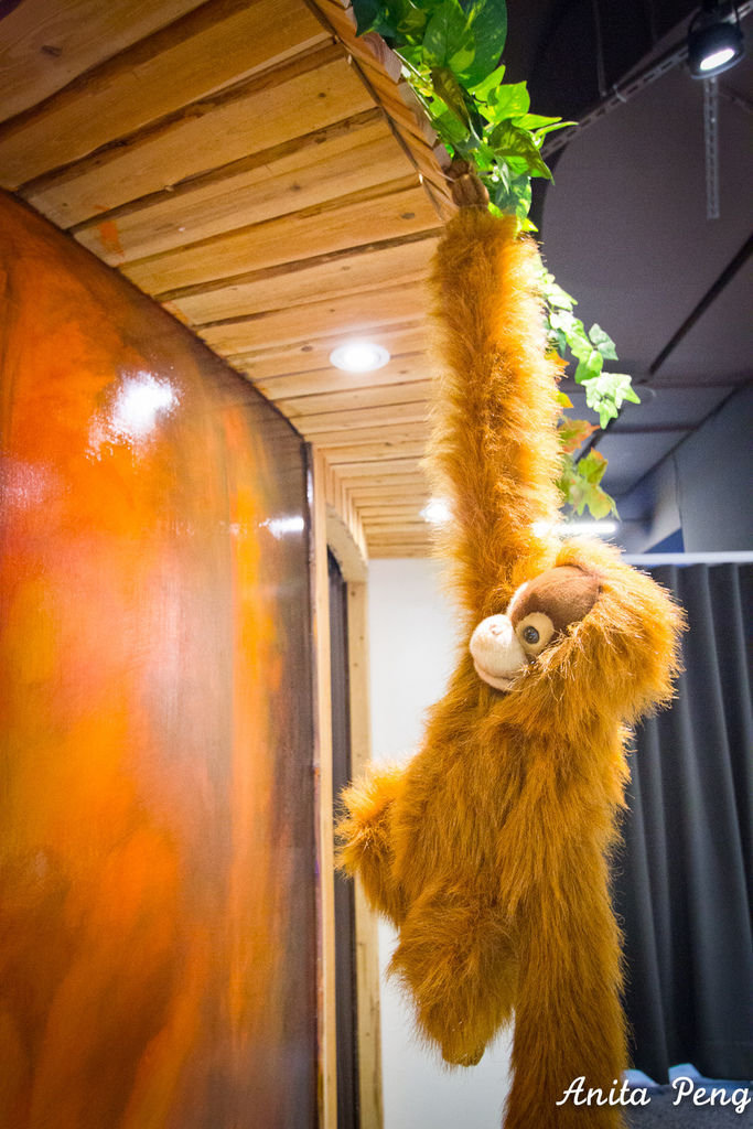 IMG_7934.jpg IMG_7934.jpg