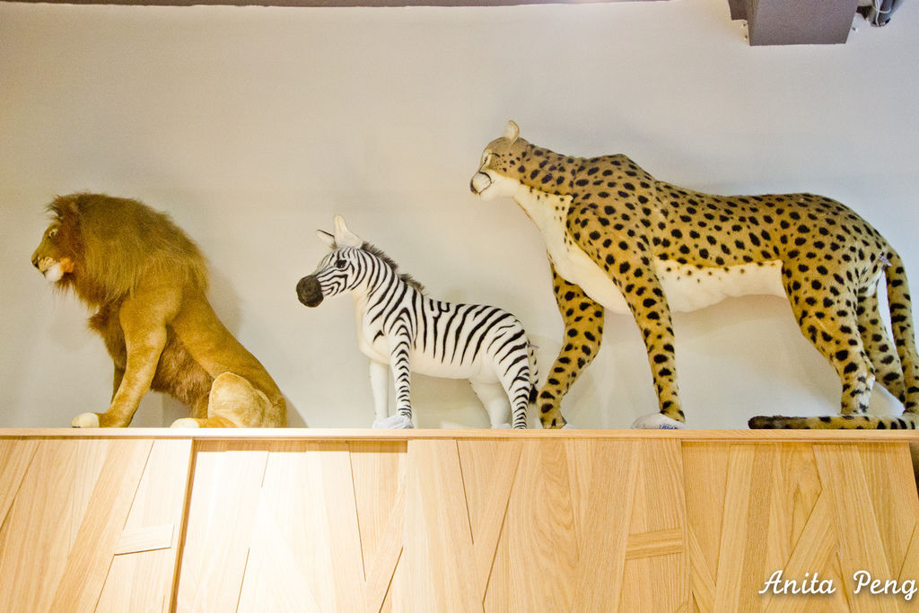 IMG_7938.jpg IMG_7938.jpg