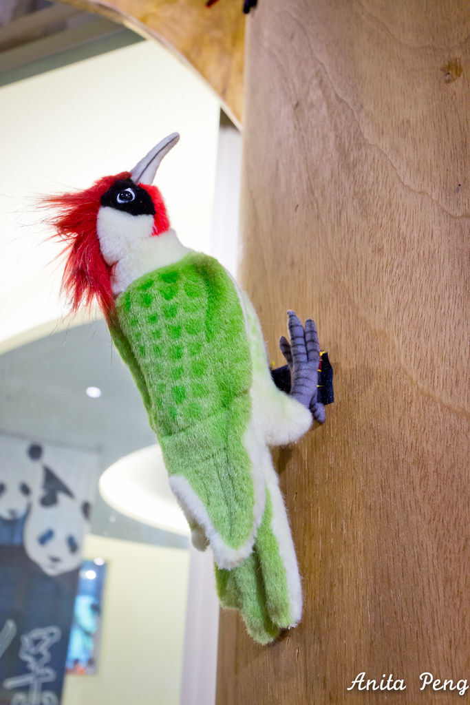 IMG_7940.jpg IMG_7940.jpg