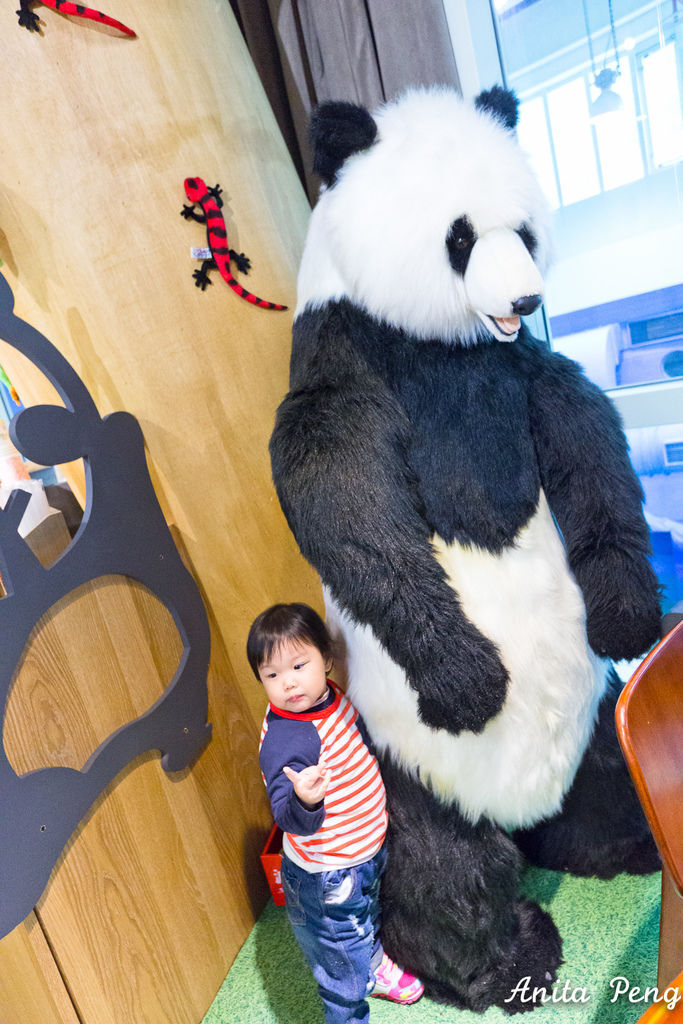 IMG_7960.jpg IMG_7960.jpg