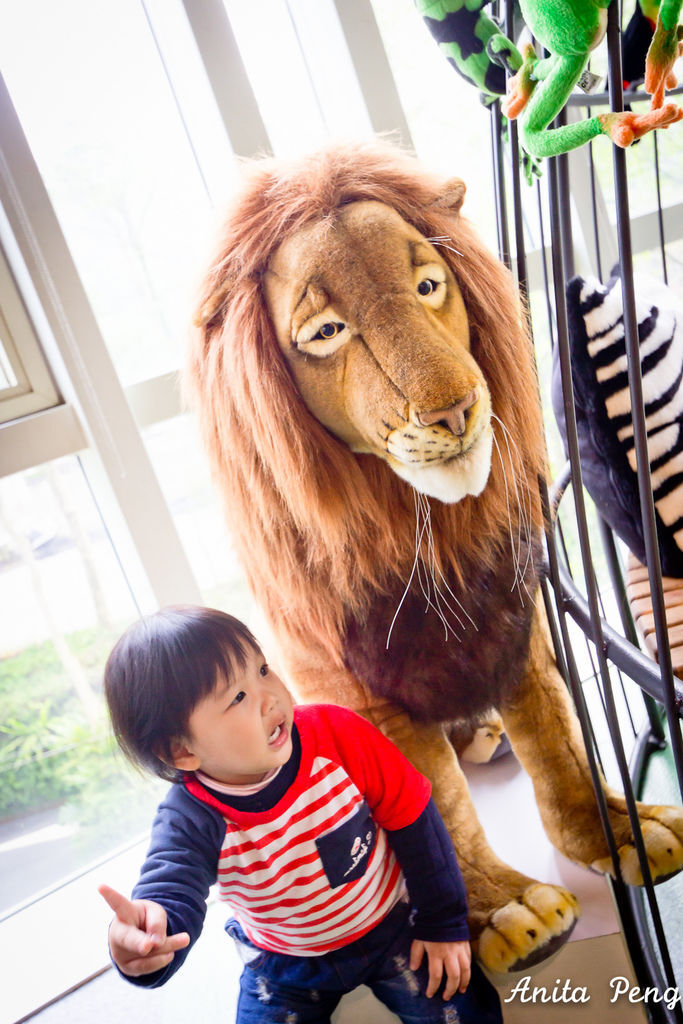 IMG_7973.jpg IMG_7973.jpg