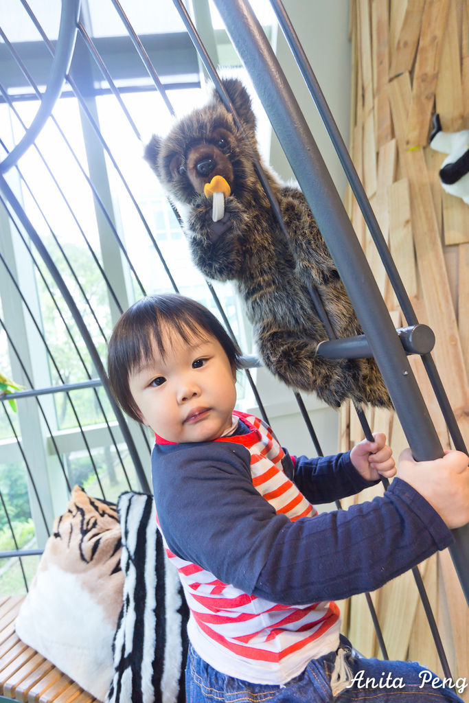 IMG_7978.jpg IMG_7978.jpg