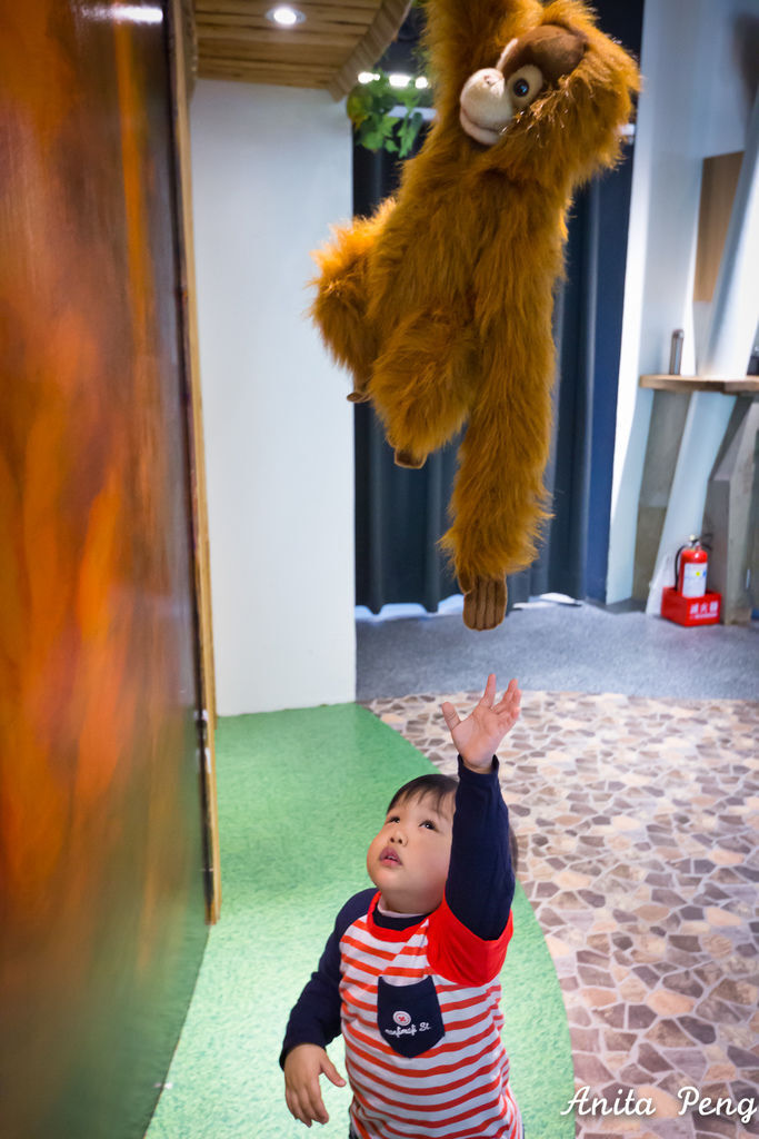 IMG_7980.jpg IMG_7980.jpg