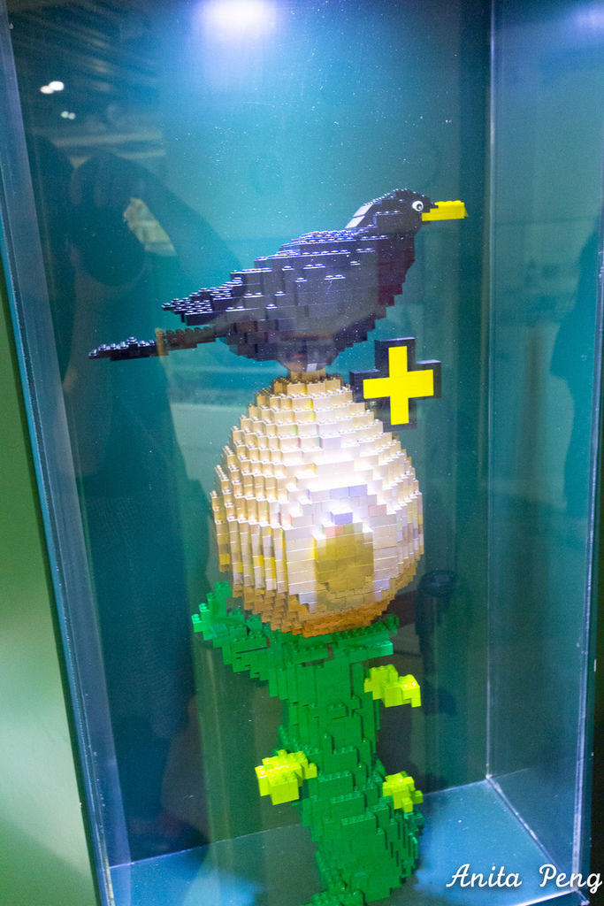 IMG_3523.jpg IMG_3523.jpg