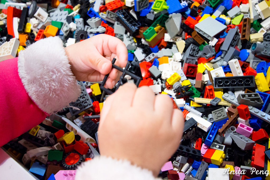 IMG_3531.jpg IMG_3531.jpg