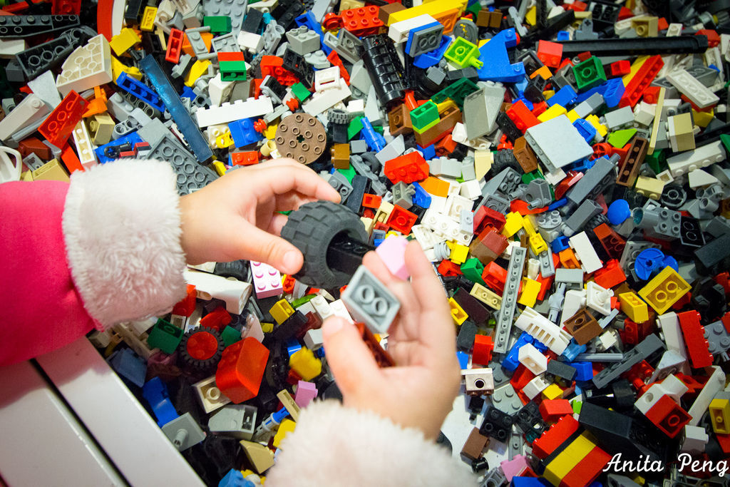 IMG_3534.jpg IMG_3534.jpg