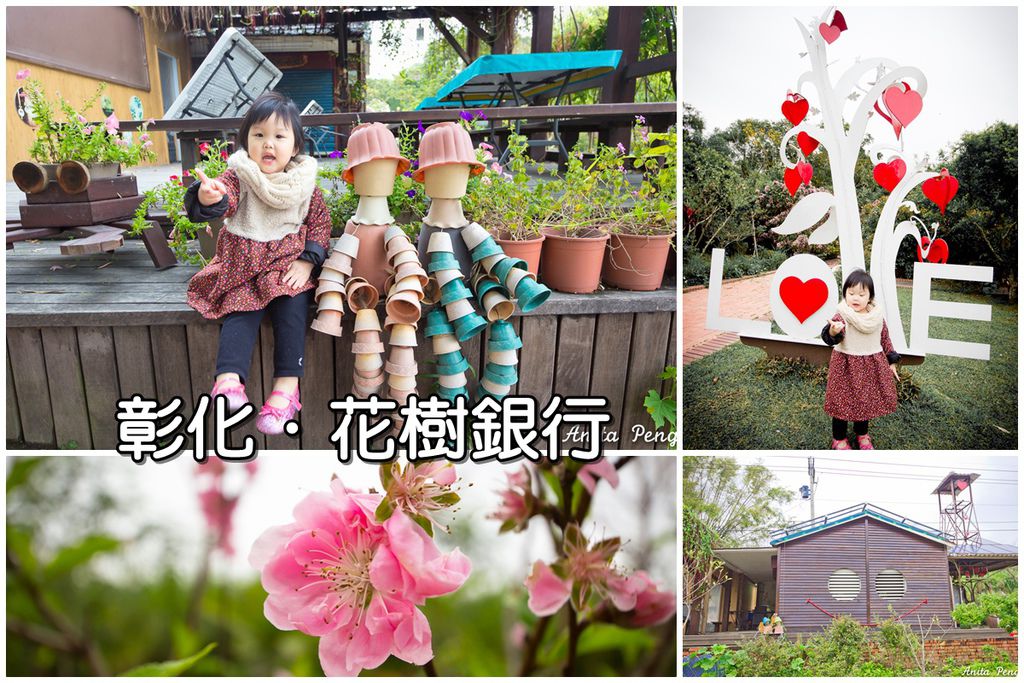 花樹封面 花樹封面