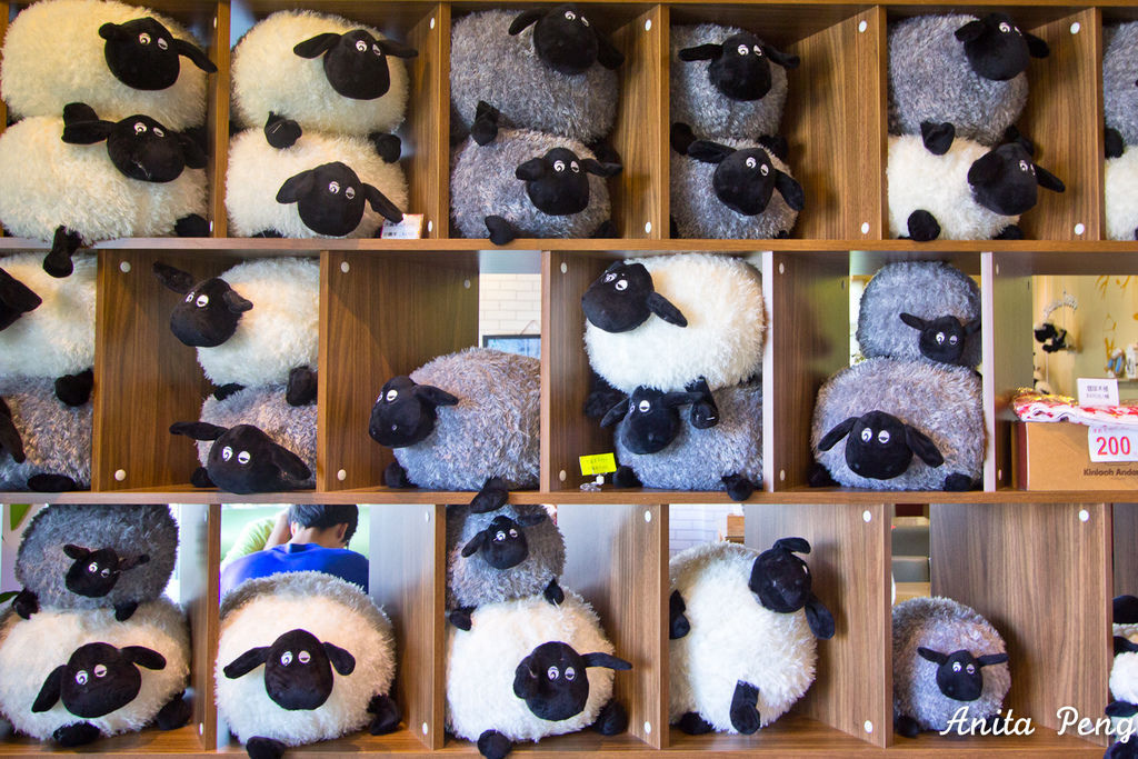 IMG_1171.jpg IMG_1171.jpg