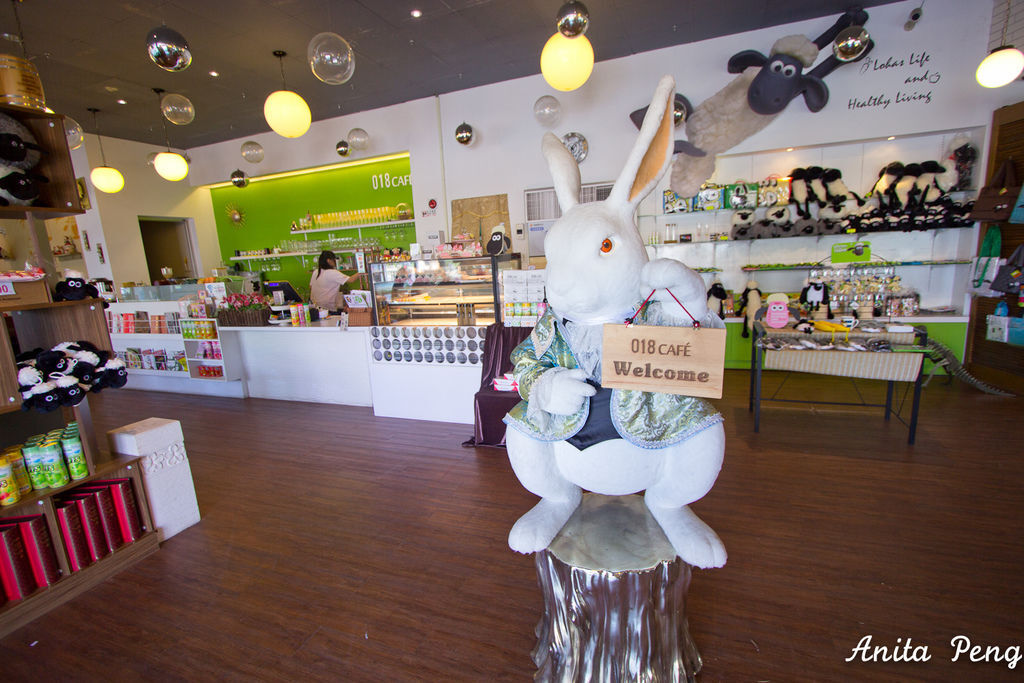 IMG_1172.jpg IMG_1172.jpg