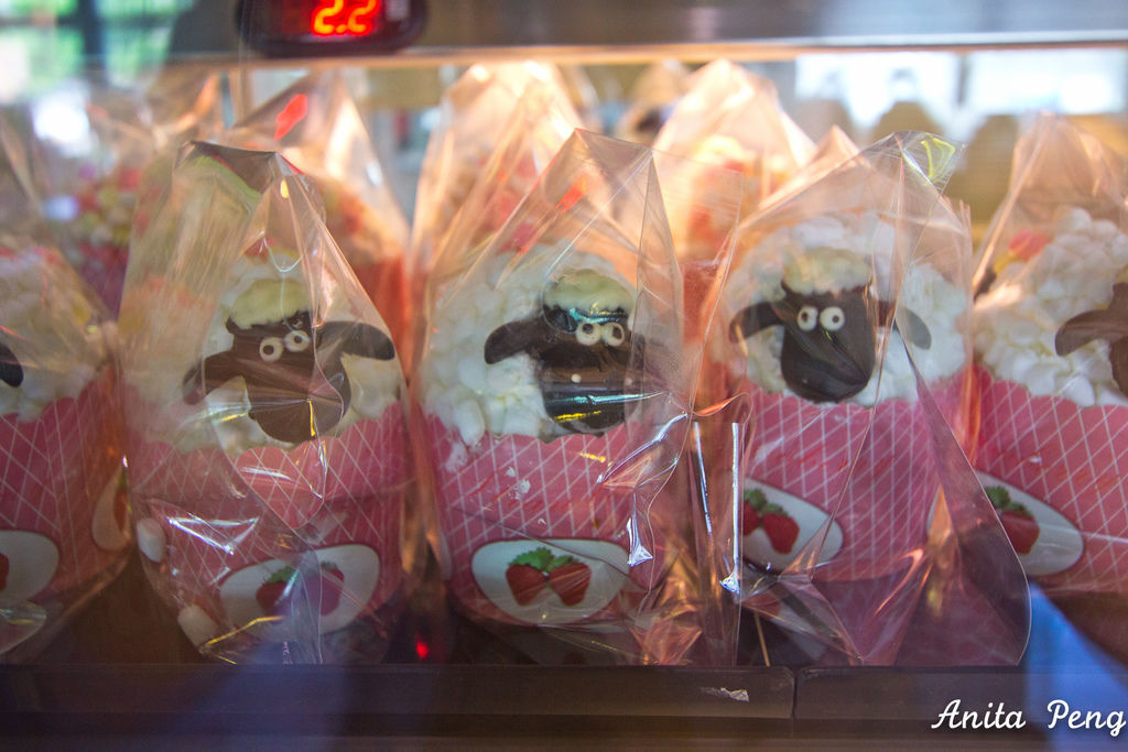 IMG_1173.jpg IMG_1173.jpg