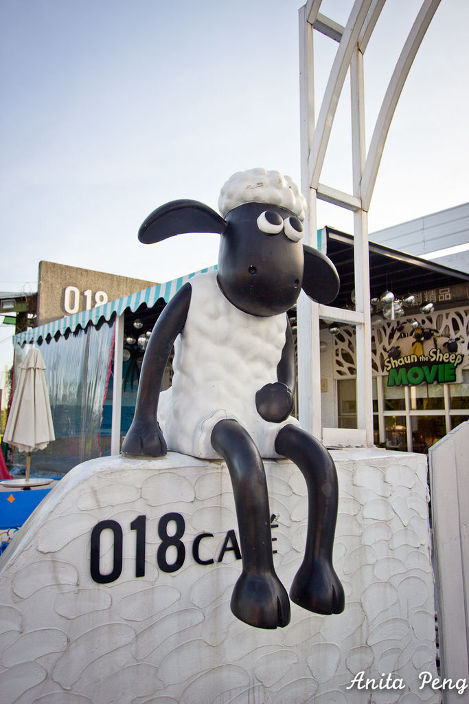 IMG_1215.jpg IMG_1215.jpg