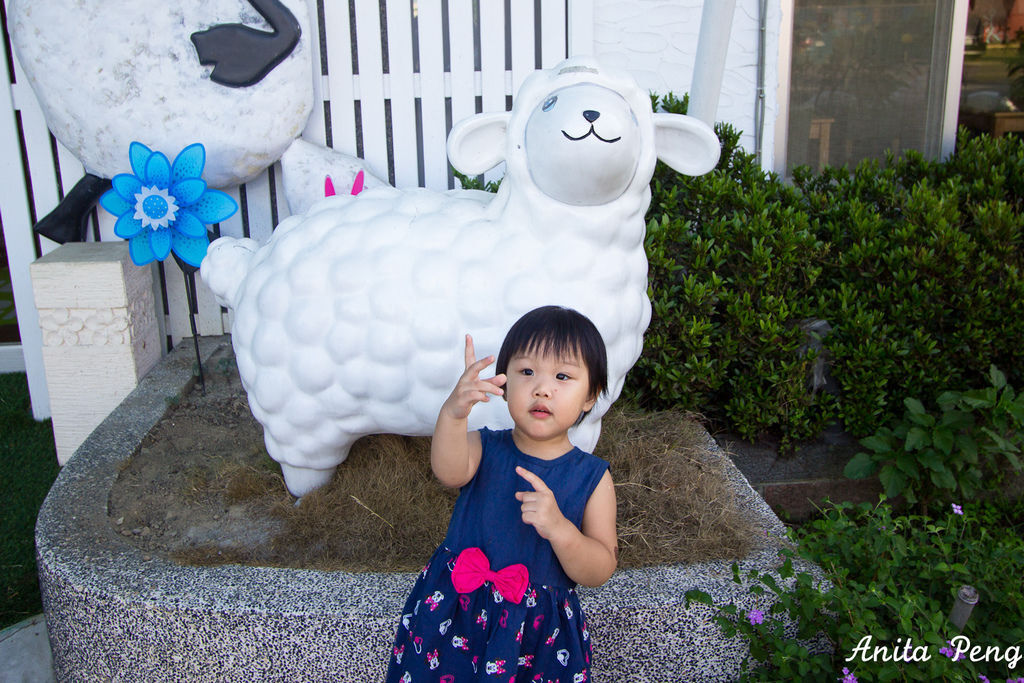 IMG_1234.jpg IMG_1234.jpg