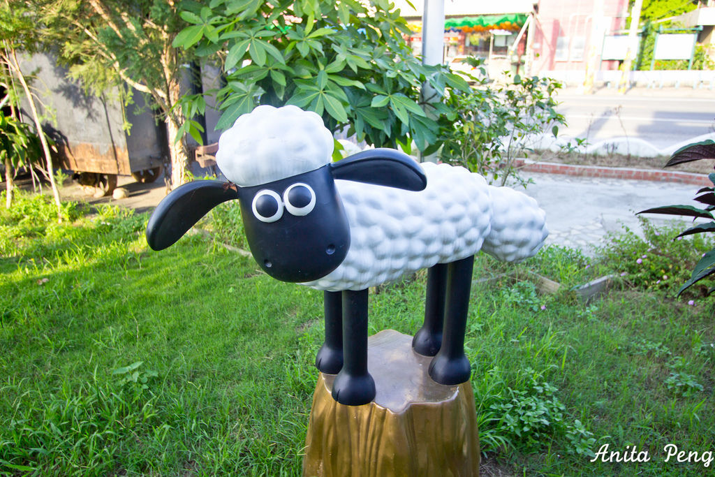 IMG_1237.jpg IMG_1237.jpg