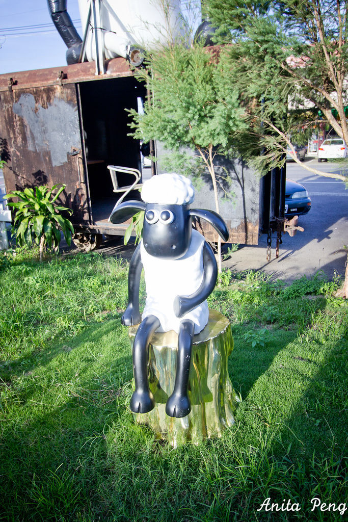 IMG_1238.jpg IMG_1238.jpg