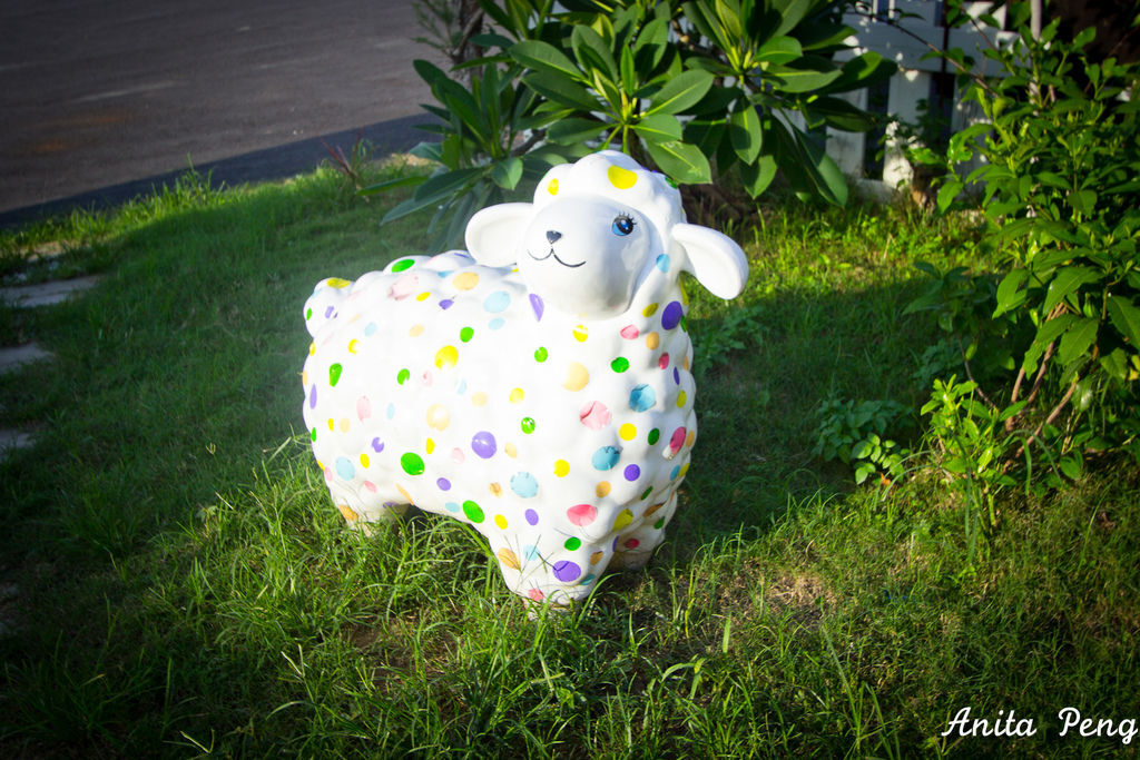 IMG_1239.jpg IMG_1239.jpg